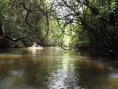Rio Botucatu s SP